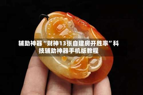 辅助神器“财神13张自建房开胜率”科技辅助神器手机版教程-第2张图片