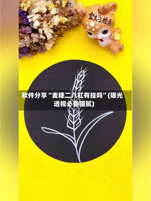 软件分享“麦穗二八杠有挂吗”(曝光透视必备猫腻)-第2张图片