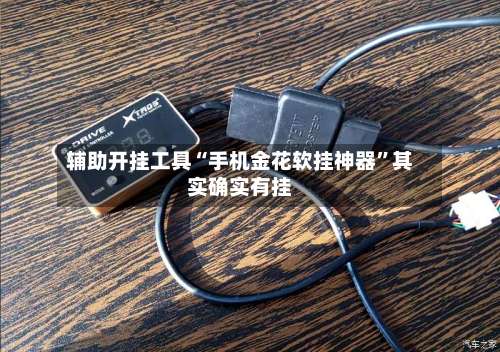 辅助开挂工具“手机金花软挂神器	”其实确实有挂-第1张图片