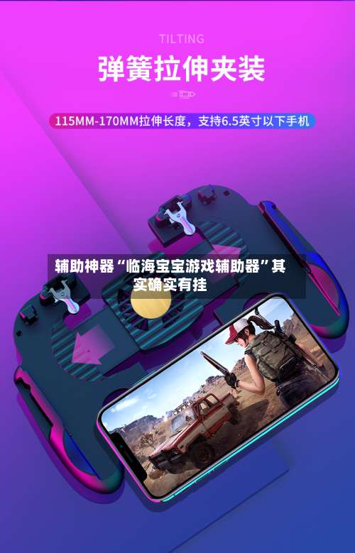 辅助神器“临海宝宝游戏辅助器”其实确实有挂-第1张图片