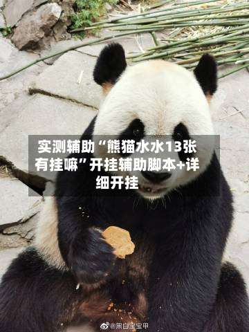 实测辅助“熊猫水水13张有挂嘛”开挂辅助脚本+详细开挂-第1张图片