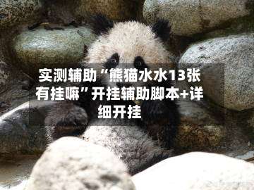实测辅助“熊猫水水13张有挂嘛”开挂辅助脚本+详细开挂-第2张图片