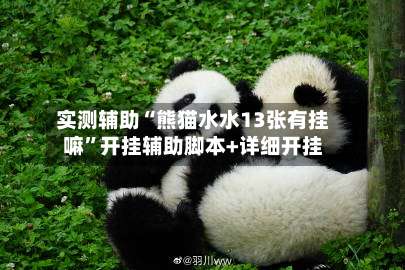 实测辅助“熊猫水水13张有挂嘛	”开挂辅助脚本+详细开挂-第3张图片