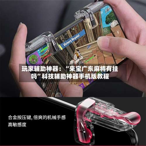 玩家辅助神器：“来宝广东麻将有挂吗”科技辅助神器手机版教程-第1张图片