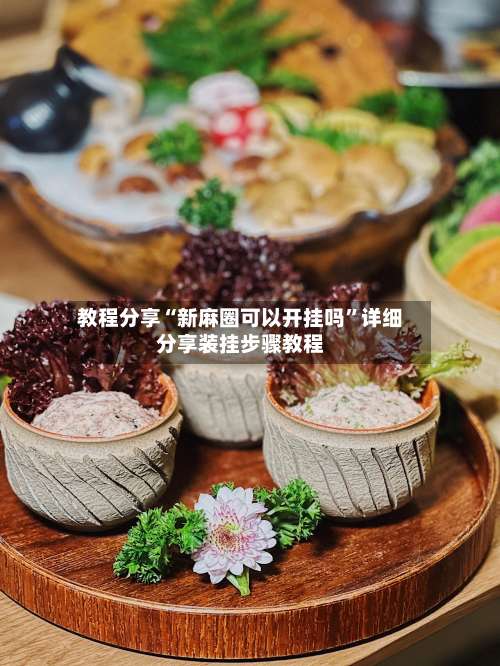 教程分享“新麻圈可以开挂吗	”详细分享装挂步骤教程-第1张图片