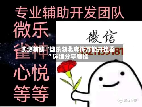 实测辅助“微乐湖北麻将万能开挂器”详细分享装挂-第2张图片