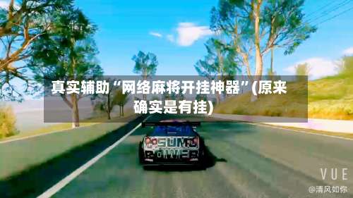 真实辅助“网络麻将开挂神器”(原来确实是有挂)-第1张图片