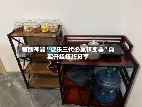 辅助神器“微乐三代必赢辅助器”真实开挂技巧分享-第1张图片