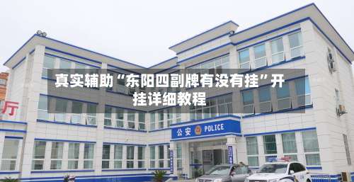 真实辅助“东阳四副牌有没有挂”开挂详细教程-第2张图片