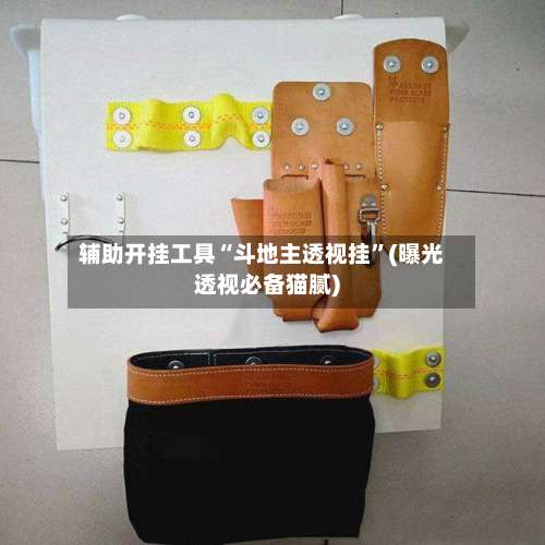 辅助开挂工具“斗地主透视挂”(曝光透视必备猫腻)-第2张图片