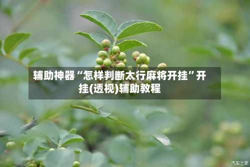 辅助神器“怎样判断太行麻将开挂	”开挂(透视)辅助教程-第2张图片