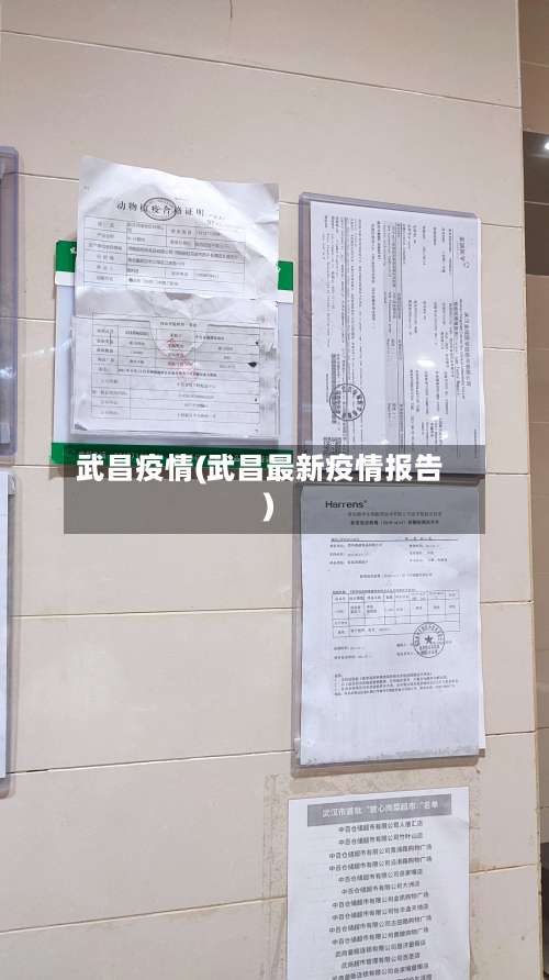 武昌疫情(武昌最新疫情报告)-第3张图片