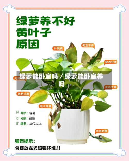 绿萝能卧室吗／绿萝能卧室养吗-第1张图片