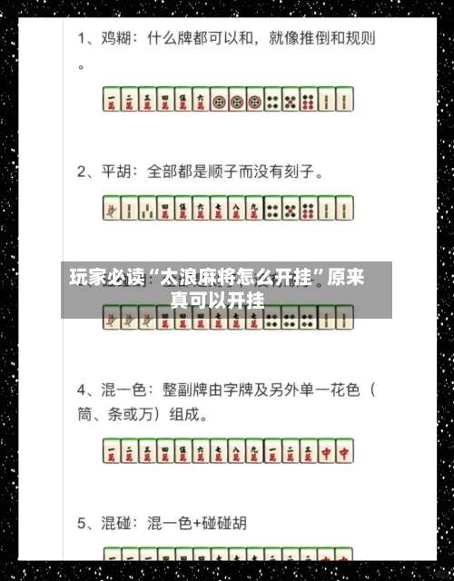 玩家必读“太浪麻将怎么开挂”原来真可以开挂-第2张图片