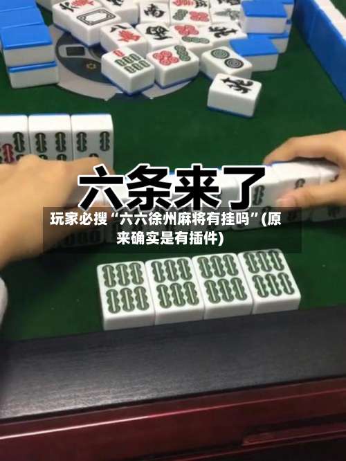 玩家必搜“六六徐州麻将有挂吗”(原来确实是有插件)-第2张图片