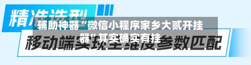辅助神器“微信小程序家乡大贰开挂器	”其实确实有挂-第1张图片