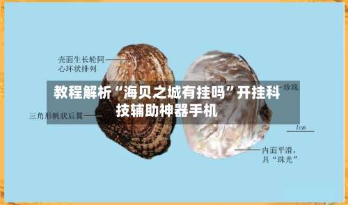 教程解析“海贝之城有挂吗”开挂科技辅助神器手机-第2张图片