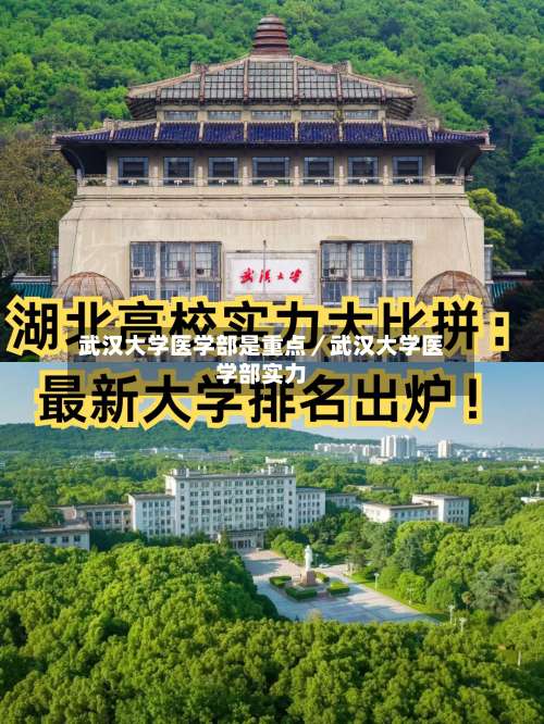 武汉大学医学部是重点／武汉大学医学部实力-第3张图片