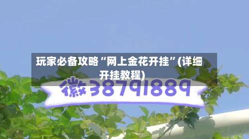 玩家必备攻略“网上金花开挂”(详细开挂教程)-第2张图片