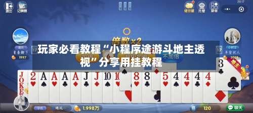 玩家必看教程“小程序途游斗地主透视”分享用挂教程-第2张图片