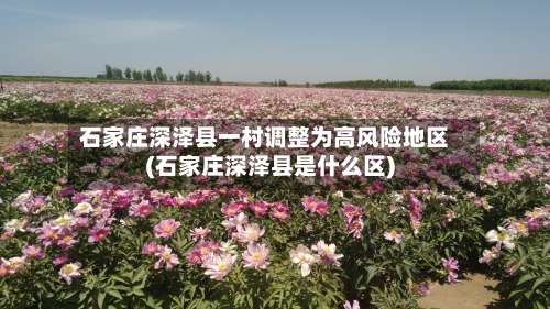 石家庄深泽县一村调整为高风险地区(石家庄深泽县是什么区)-第1张图片