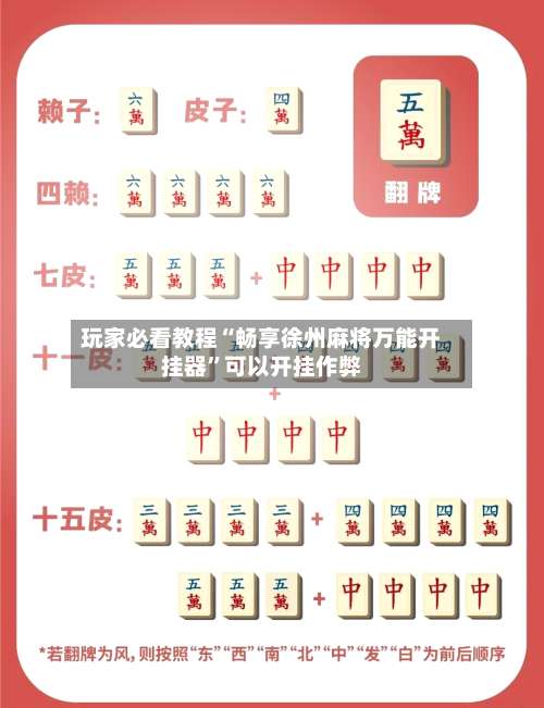 玩家必看教程“畅享徐州麻将万能开挂器”可以开挂作弊-第1张图片