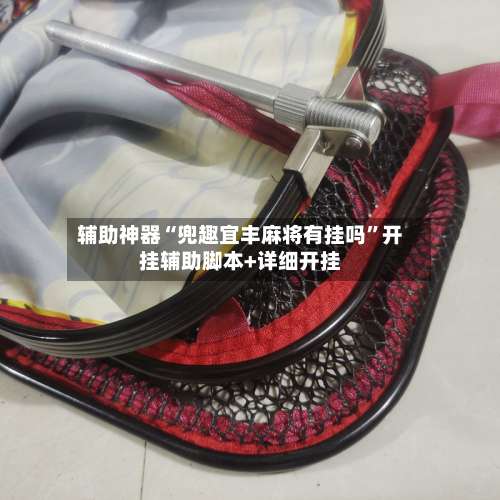 辅助神器“兜趣宜丰麻将有挂吗”开挂辅助脚本+详细开挂-第2张图片