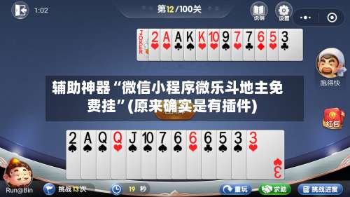 辅助神器“微信小程序微乐斗地主免费挂”(原来确实是有插件)-第2张图片