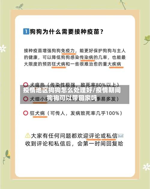 疫情地区狗狗怎么处理好/疫情期间狗狗可以带回家吗-第1张图片