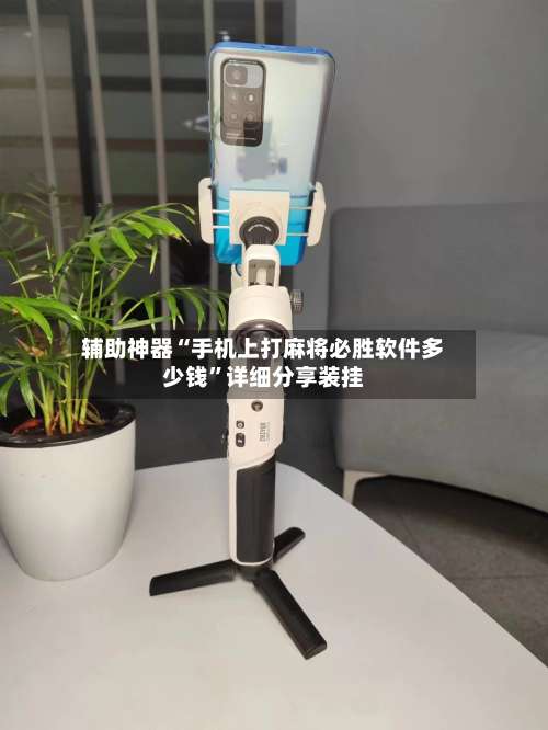 辅助神器“手机上打麻将必胜软件多少钱”详细分享装挂-第3张图片