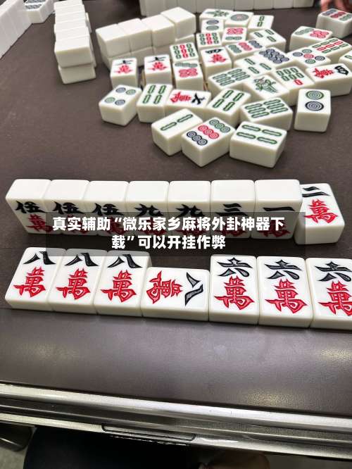 真实辅助“微乐家乡麻将外卦神器下载”可以开挂作弊-第3张图片