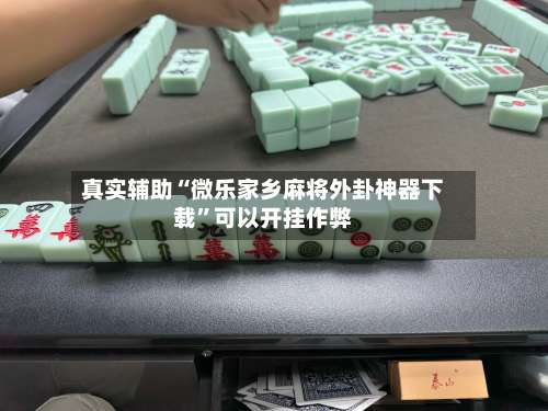 真实辅助“微乐家乡麻将外卦神器下载	”可以开挂作弊-第2张图片