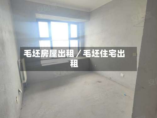 毛坯房屋出租／毛坯住宅出租-第3张图片