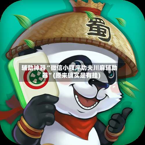 辅助神器“微信小程序功夫川麻辅助器	”(原来确实是有挂)-第2张图片