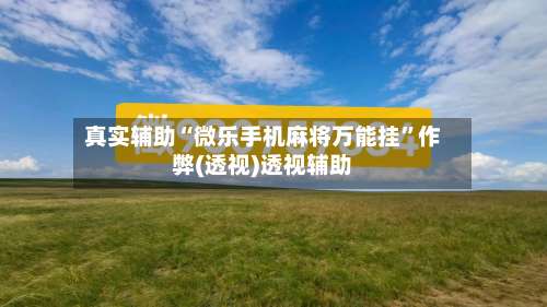 真实辅助“微乐手机麻将万能挂”作弊(透视)透视辅助-第2张图片