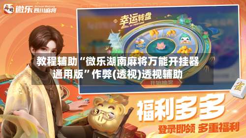 教程辅助“微乐湖南麻将万能开挂器通用版”作弊(透视)透视辅助-第3张图片