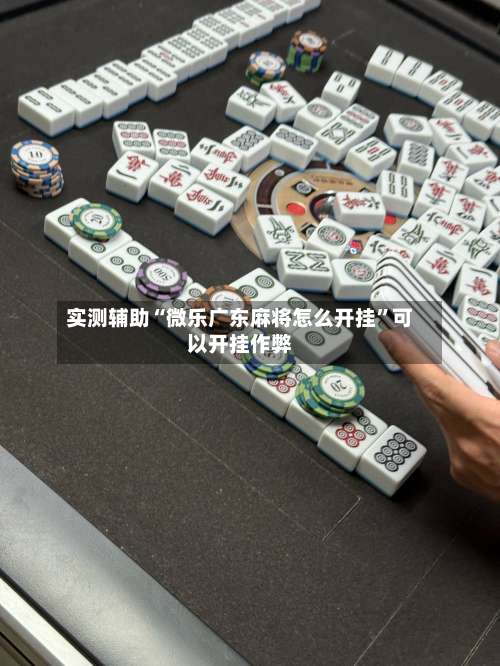 实测辅助“微乐广东麻将怎么开挂”可以开挂作弊-第2张图片