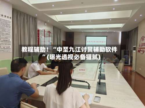 教程辅助！“中至九江讨赏辅助软件”(曝光透视必备猫腻)-第3张图片