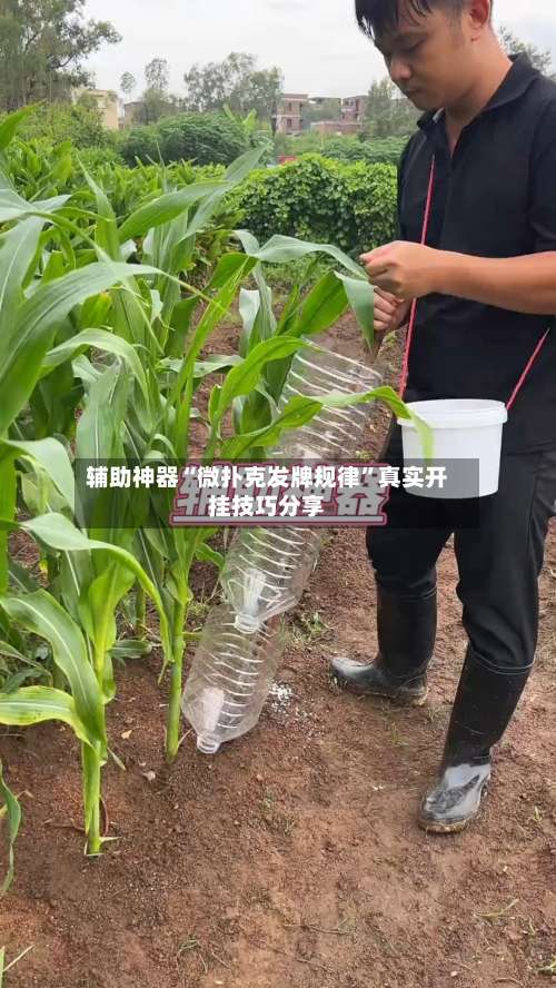 辅助神器“微扑克发牌规律	”真实开挂技巧分享-第2张图片