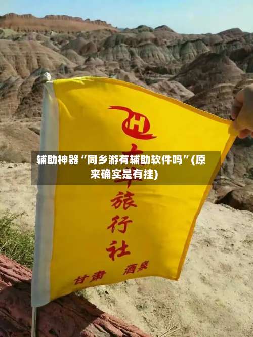 辅助神器“同乡游有辅助软件吗”(原来确实是有挂)-第2张图片