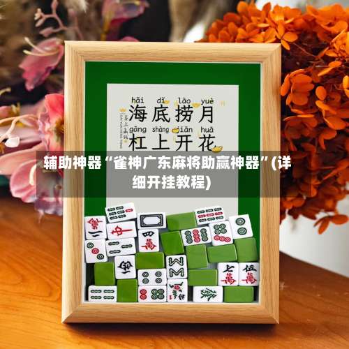 辅助神器“雀神广东麻将助赢神器	”(详细开挂教程)-第2张图片