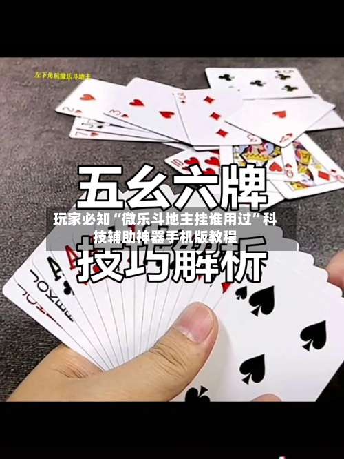 玩家必知“微乐斗地主挂谁用过	”科技辅助神器手机版教程-第2张图片