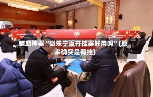 辅助神器“微乐宁夏开挂器好用吗”(原来确实是有挂)-第2张图片