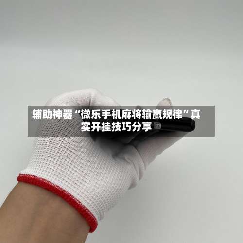 辅助神器“微乐手机麻将输赢规律	”真实开挂技巧分享-第2张图片