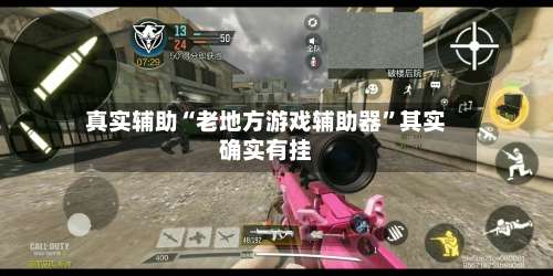 真实辅助“老地方游戏辅助器	”其实确实有挂-第1张图片