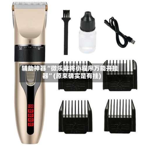 辅助神器“微乐麻将小程序万能开挂器”(原来确实是有挂)-第1张图片