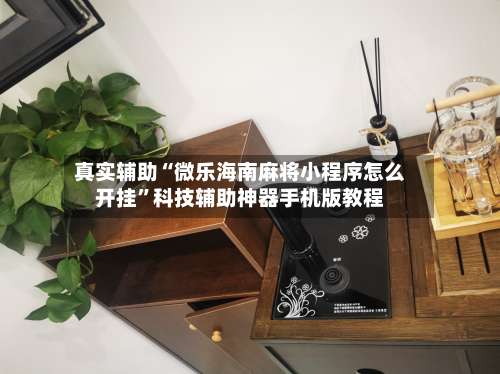 真实辅助“微乐海南麻将小程序怎么开挂	”科技辅助神器手机版教程-第2张图片