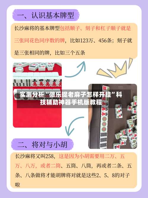 实测分析“微乐捉老麻子怎样开挂”科技辅助神器手机版教程-第1张图片
