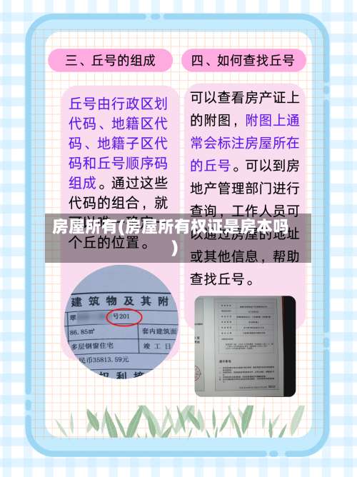 房屋所有(房屋所有权证是房本吗)-第2张图片