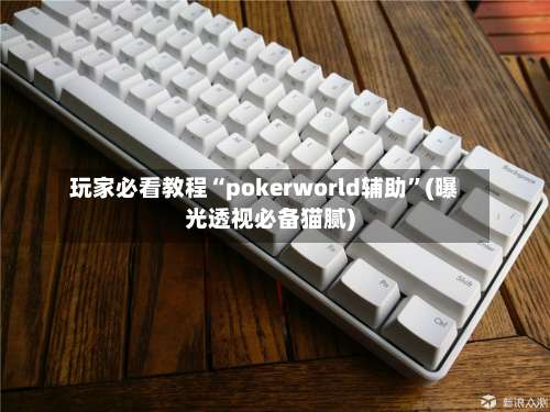 玩家必看教程“pokerworld辅助”(曝光透视必备猫腻)-第1张图片